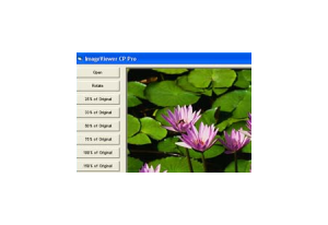 Image Viewer CP Pro ActiveX