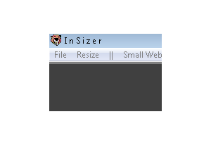InSizer