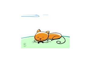 Kitten and Butterfly