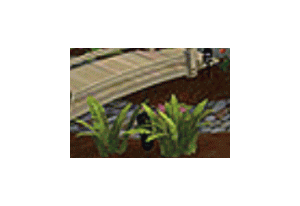 Landscaping Photos