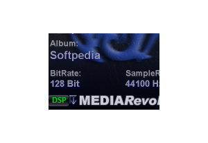 MEDIA Revolution