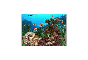 Mermaids Kingdom Screensaver
