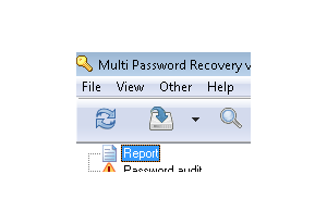 Multi Password Recovery