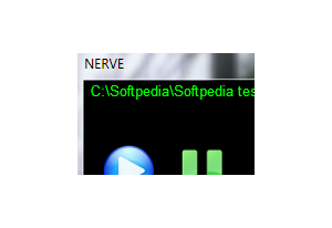 NERVE