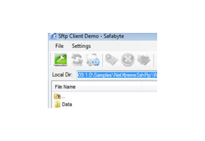 .NET NetXtremeSshFtp