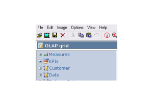 RadarCube OLAP ASP.NET Direct