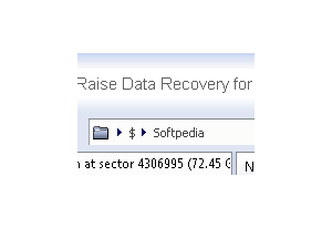 Raise Data Recovery for ReiserFS
