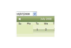 TAdvSmoothDatePicker