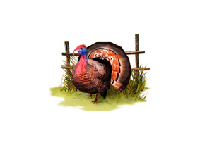Thanksgiving 3D Screensaver