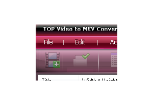 TOP Video to MKV Converter