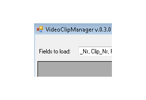 VideoClipManager
