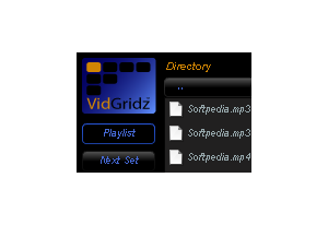 VidGridz