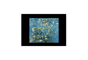Vincent Van Gogh Screensaver - 220 Paintings
