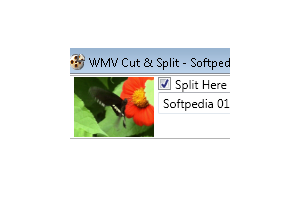WMV Cut & Split