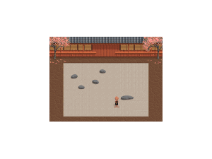 Zen Puzzle Garden