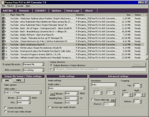 Pazera Free FLV to AVI Converter
