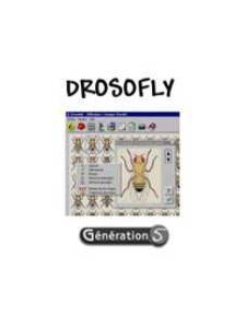 Logiciel drosophile : Drosofly