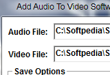 Add Audio To Video Software