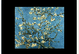 Vincent Van Gogh Screensaver - 220 Paintings