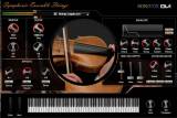 DVI Symphonic Ensemble Strings