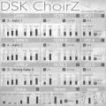 DSK ChoirZ